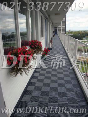 53316����¶�_(t��i)�����ʲô����¶�_(t��i)䁴u,¶�_(t��i)�شu,