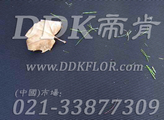 ��ɫ�����ߵ�������̺���ģ�10��