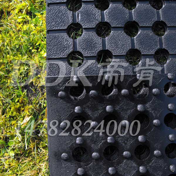 室外耐曬防滑自排水通道地毯樣板圖片,帝肯(DDK)_4500_222（室外草坪走道鋪設(shè)材料）效果圖,排水地墊,疏水防滑墊,疏水防滑地墊,疏水地毯,疏水地膠,疏水性材料