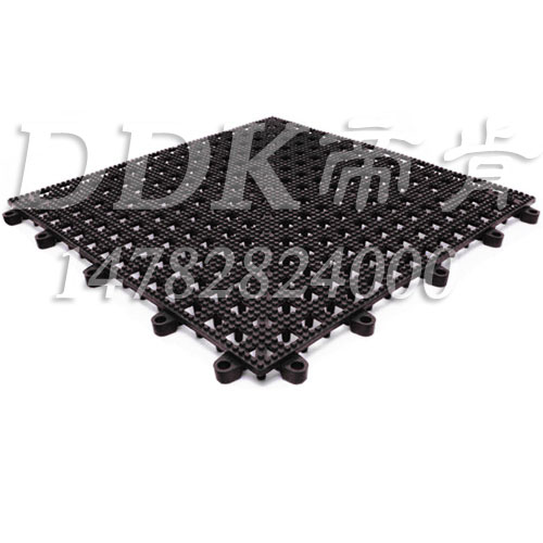 ��ɫ�ۿ�(DDK)_8800_339��30X30cm��Ӿ�ط����؉|�DƬ��5022