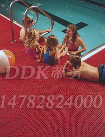 �tɫƴ�ӵۿ�(DDK)_8800_339��30X30cm��Ӿ�ط����؉|�DƬ��0861